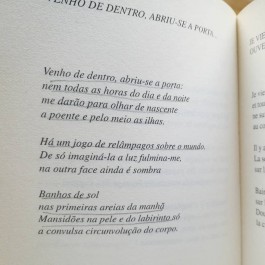 TERESA LEÃO